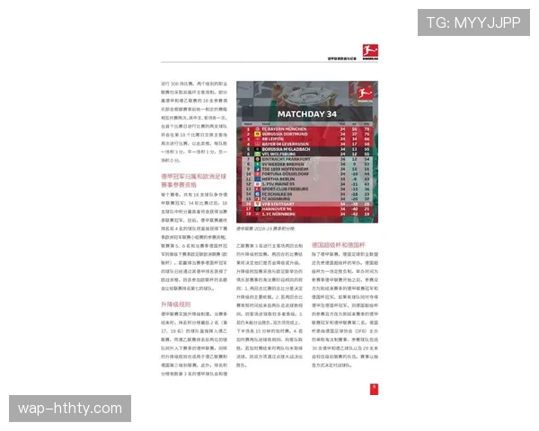 德甲比赛因球迷向场内投掷网球抗议比赛日时间安排中断十分钟